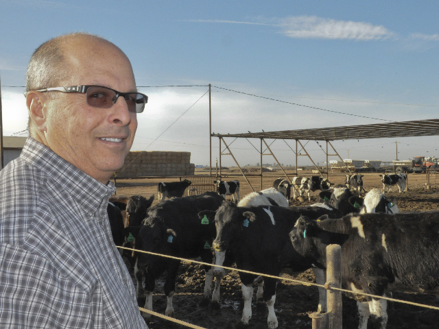 Paul Cameron, a Brawley, Calif., cattle feeder, was an original investor in the Brawley Beef packing plant that National Beef bought in 2006 and then closed last year. Now he has to send his Holsteins to slaughter at the JBS plant in Tolleson, Ariz., which is about 225 miles east of Brawley. (DTN photo by Chris Clayton)